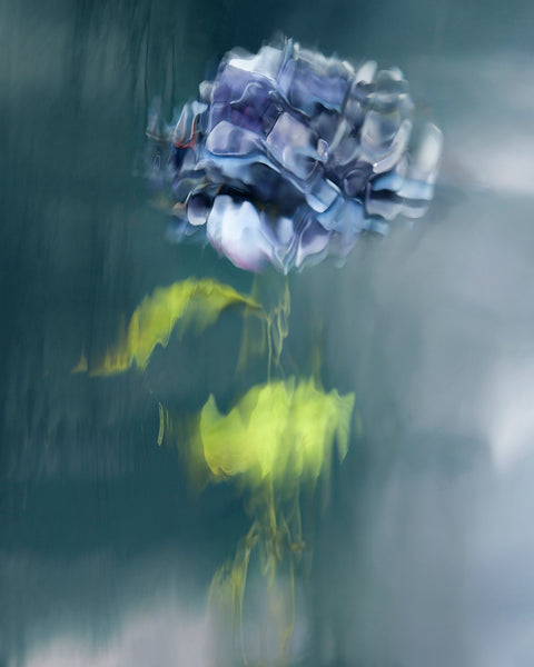 Barbara Cole Artwork | Bright, exciting, abstract, figurative, underwater figurative photographs.