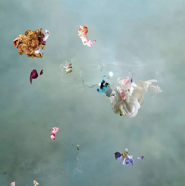 Isabelle Menin artwork 'Floating Angels 04' available at Bau-Xi Gallery Toronto, Ontario