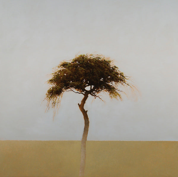 Robert Marchessault Artwork | Colourful, pastel, realist landscapes and portraits of trees.