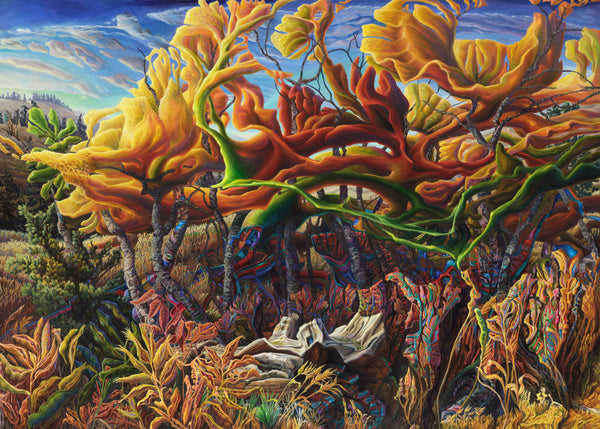 Drew Burnham artwork 'Nicola' available at Bau-Xi Gallery Vancouver