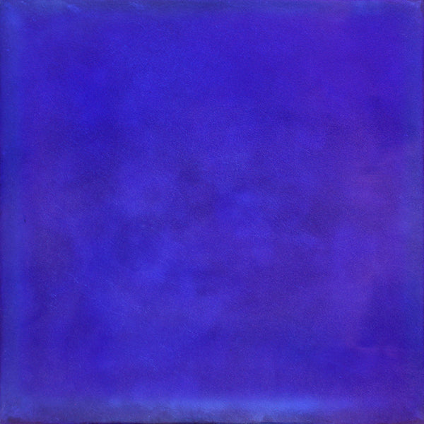 Tom Burrows artwork 'Zygaena' available at Bau-Xi Gallery Vancouver