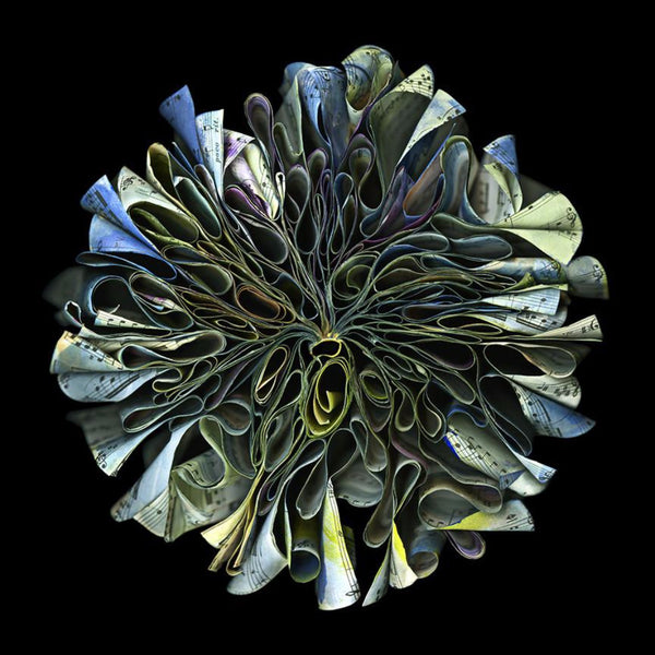 Cara Barer Artwork | Colourful and monochromatic photography orbs circular and organic abstract book art sculpture.