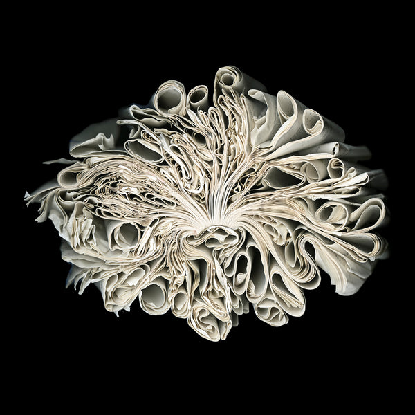 Cara Barer Artwork | Colourful and monochromatic photography orbs circular and organic abstract book art sculpture.