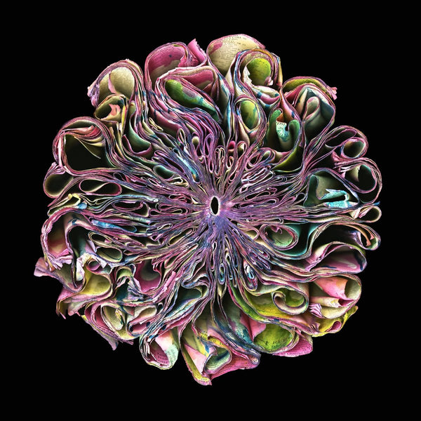 Cara Barer Artwork | Colourful and monochromatic photography orbs circular and organic abstract book art sculpture.