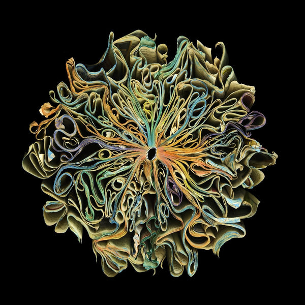 Cara Barer Artwork | Colourful and monochromatic photography orbs circular and organic abstract book art sculpture.