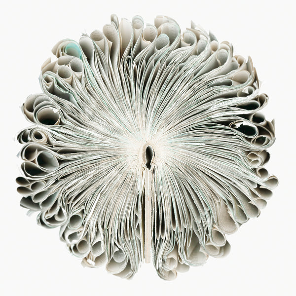 Cara Barer Artwork | Colourful and monochromatic photography orbs circular and organic abstract book art sculpture.