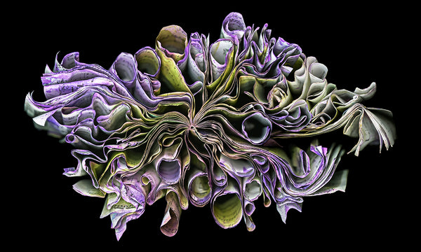 Cara Barer Artwork | Colourful and monochromatic photography orbs circular and organic abstract book art sculpture.