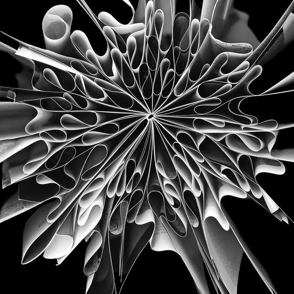 Cara Barer Artwork | Colourful and monochromatic photography orbs circular and organic abstract book art sculpture.