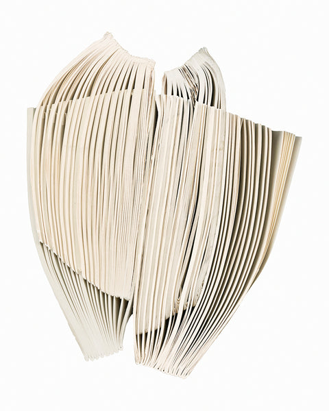 Cara Barer Artwork | Colourful and monochromatic photography orbs circular and organic abstract book art sculpture.