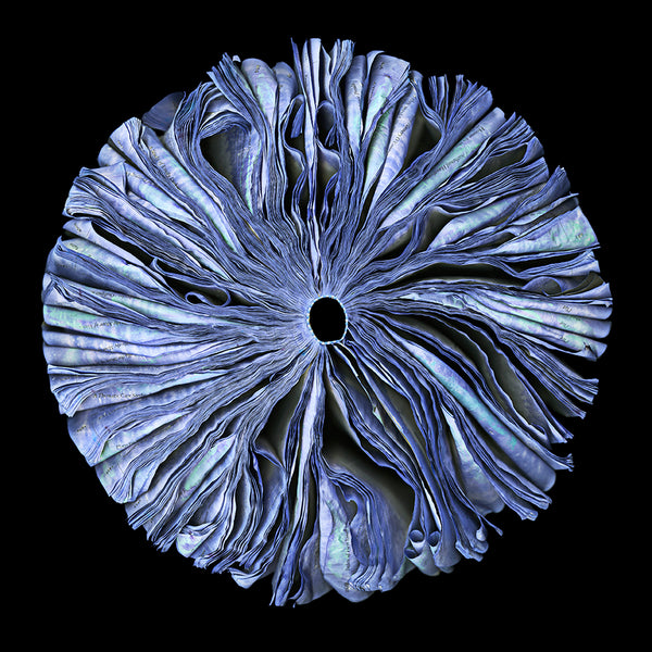 Cara Barer Artwork | Colourful and monochromatic photography orbs circular and organic abstract book art sculpture.