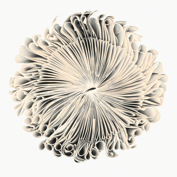 Cara Barer Artwork | Colourful and monochromatic photography orbs circular and organic abstract book art sculpture.