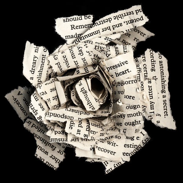 Cara Barer Artwork | Colourful and monochromatic photography orbs circular and organic abstract book art sculpture.