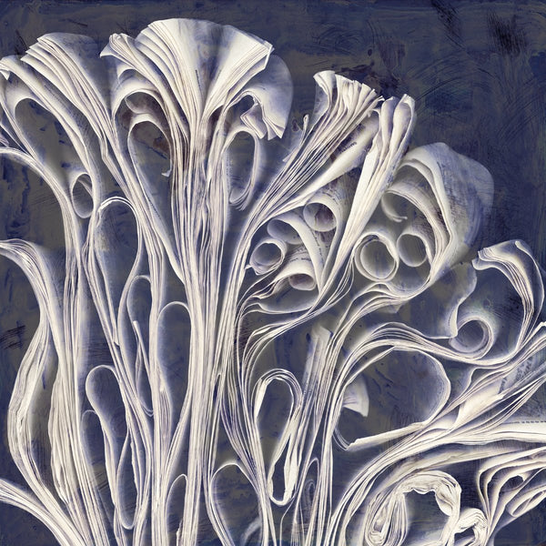 Cara Barer Artwork | Colourful and monochromatic photography orbs circular and organic abstract book art sculpture.