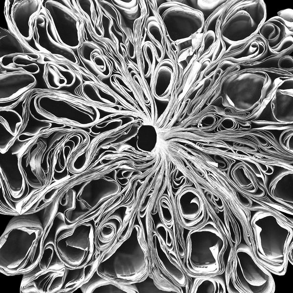 Cara Barer Artwork | Colourful and monochromatic photography orbs circular and organic abstract book art sculpture.