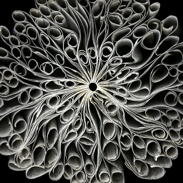 Cara Barer Artwork | Colourful and monochromatic photography orbs circular and organic abstract book art sculpture.