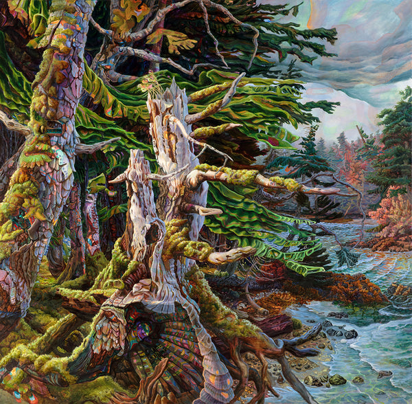 By The Tidal Flats SW Moresby