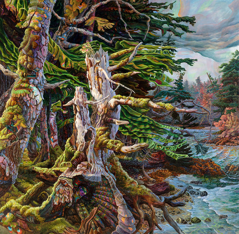 By The Tidal Flats SW Moresby