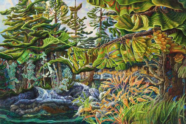 Tribune Channel Trees