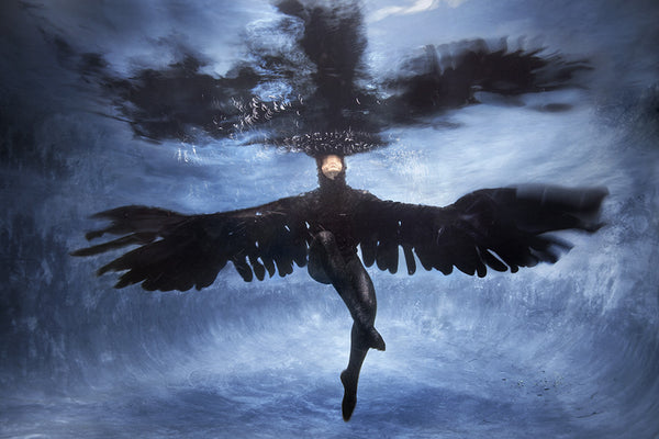 Barbara Cole Artwork | Bright, exciting, abstract, figurative, underwater figurative photographs.