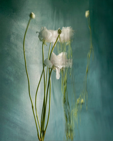 Abigail, from Appearances - Available in 3 sizes