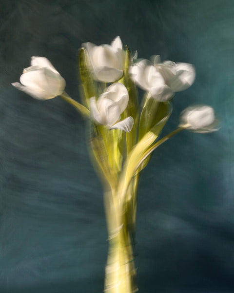 Isadora, from Appearances - Available in 3 sizes