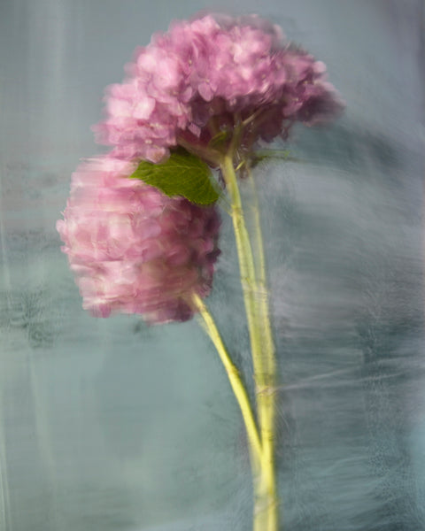 Philippa, from Appearances - Available in 3 sizes