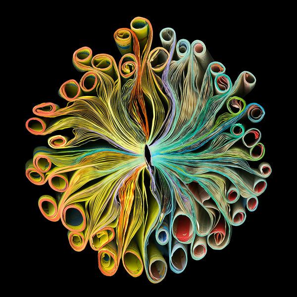 Cara Barer Artwork | Colourful and monochromatic photography orbs circular and organic abstract book art sculpture.