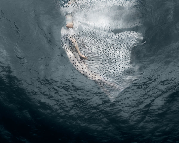 Barbara Cole Artwork | Bright, exciting, abstract, figurative, underwater figurative photographs.