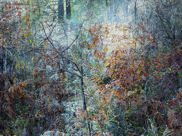 2017 SSNAP Winners - Garry Kaye - Roadside, Acrylic on Canvas, - Bau-Xi Gallery