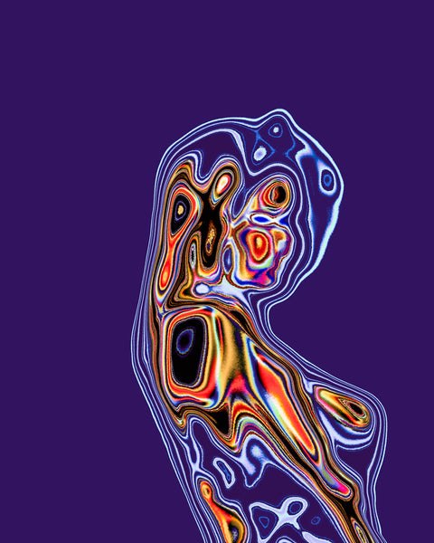 Jill Greenberg Artwork | Colourful, cute and expressive studio portraits of monkeys, horses, bears and abstract paintings.