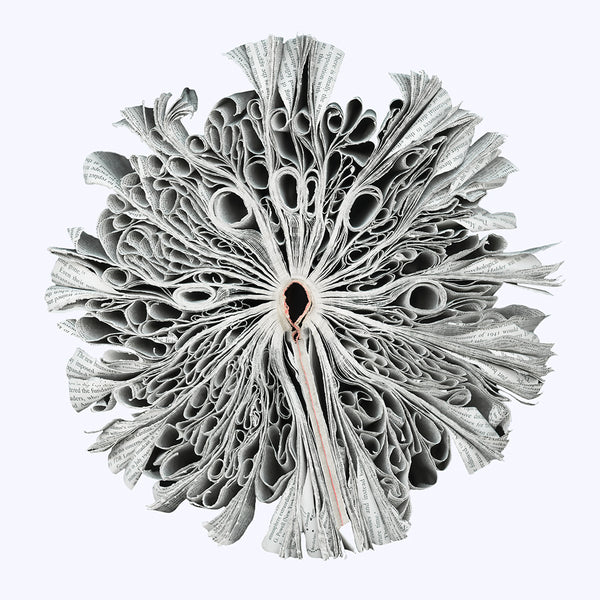 History - Available in 3 sizes