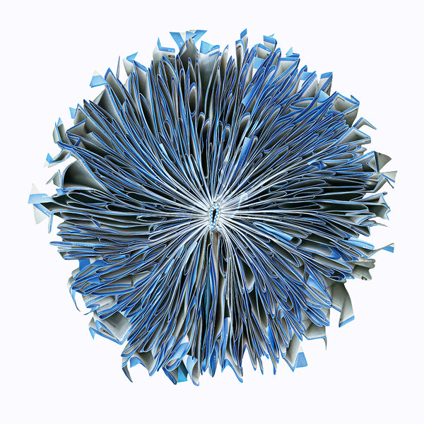 How to Do Almost Everything - Available in 3 sizes