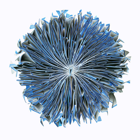 How to Do Almost Everything - Available in 3 sizes