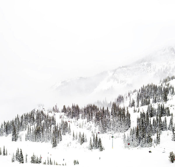 Forever Dreaming - 3 sizes