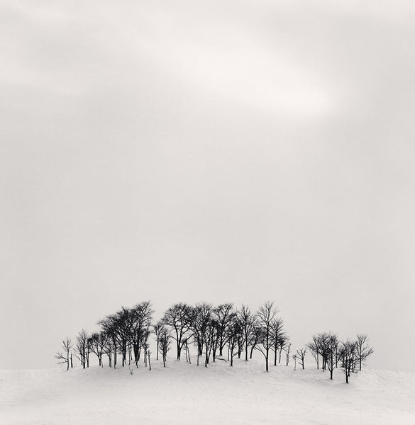 Michael Kenna Artwork | Calm, minimalist black and white photographs of trees, water, architecture, and landscapes.