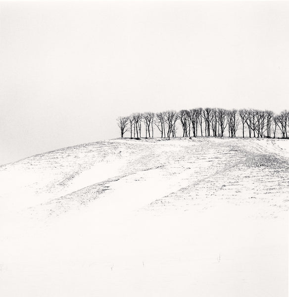 Michael Kenna Artwork | Calm, minimalist black and white photographs of trees, water, architecture, and landscapes.