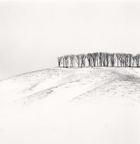 Hilltop Trees, Study 4, Teshikaga, Hokkaido
