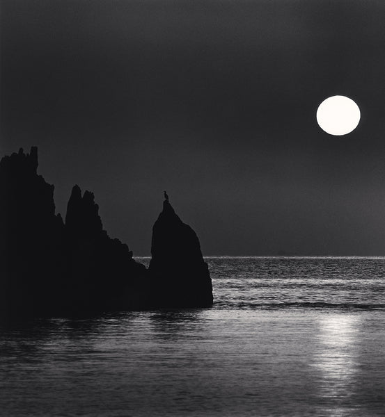 Michael Kenna Artwork | Calm, minimalist black and white photographs of trees, water, architecture, and landscapes.