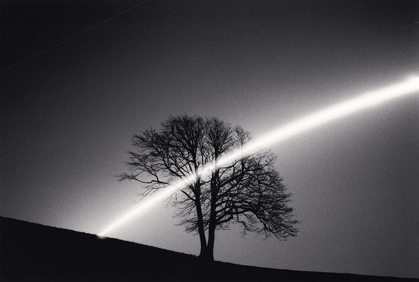 Michael Kenna Artwork | Calm, minimalist black and white photographs of trees, water, architecture, and landscapes.