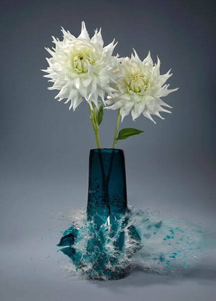 Untitled (Dahlia VI) - 2 Sizes - $13,950-$22,500
