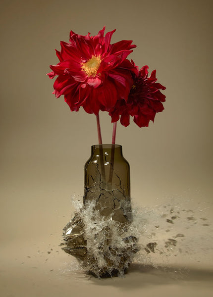 Untitled (Dahlia VIII) - 2 Sizes - $13,950-$22,500