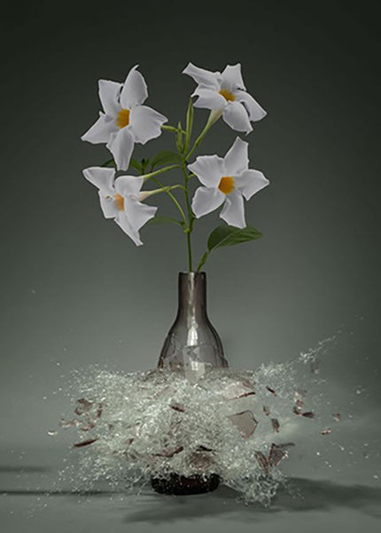 Untitled (Dipladenia) - 31x24 in. - $4,850