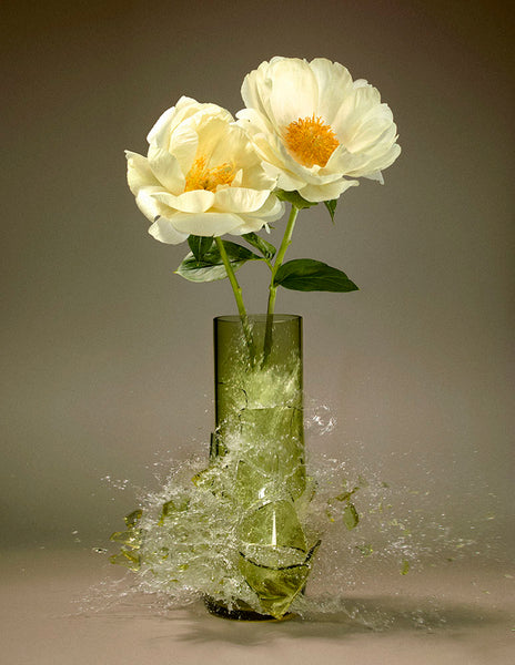 Untitled (Paeonia IX)- 31x24 in. - $4,850