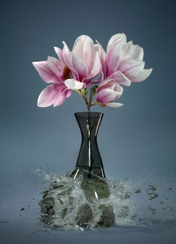 Untitled (Magnolia IX) - 59x43.5 in. - $13,950