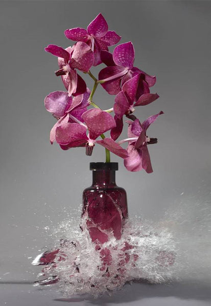 Martin Klimas Artwork | Colourful and energetic photographs of shattering still lifes of flower vases and porcelain.