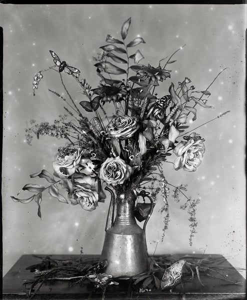 Minoo's - Available in 3 sizes