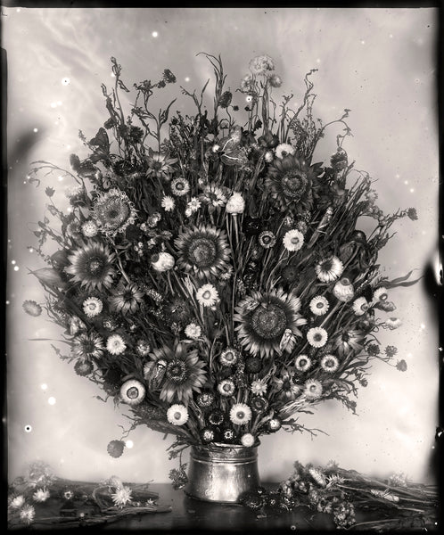 Monster - Available in 3 sizes