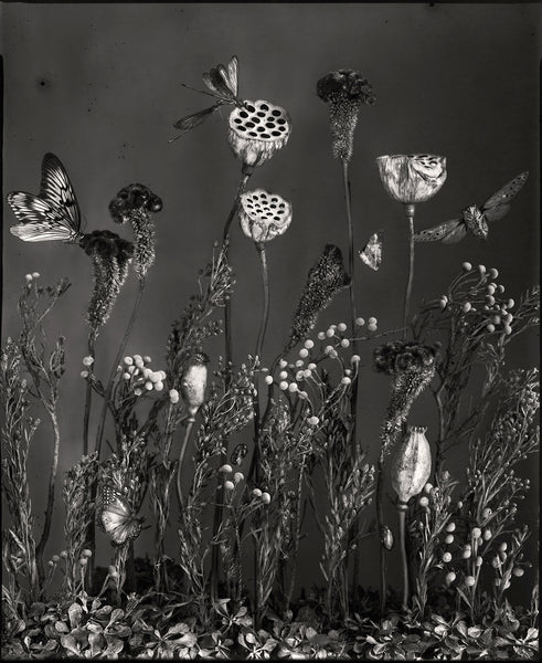 Transmogrified - Available in 3 sizes