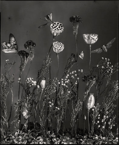 Transmogrified - Available in 3 sizes