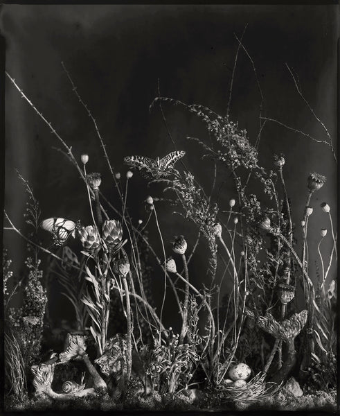 Underbrush 1 - Available in 3 sizes